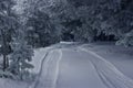 Snowy road in winter pine forest. Magic scene. Christmas background