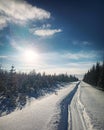 Snowy road in winter sunlight in northern Sweden Royalty Free Stock Photo