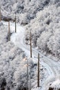 Snowy road in Wintry forest Royalty Free Stock Photo