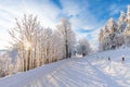 The snowy road in the woods Winter way after the snowfall through forest covered in snow. Beautiful sunny day with icy and frosty Royalty Free Stock Photo