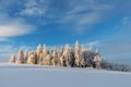 The snowy road in the woods Winter way after the snowfall through forest covered in snow. Beautiful sunny day with icy and frosty Royalty Free Stock Photo