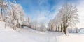 The snowy road in the woods Winter way after the snowfall through forest covered in snow. Beautiful sunny day with icy and frosty Royalty Free Stock Photo