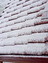 Snowy roof