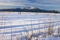 Snowy rural landscape. Royalty Free Stock Photo