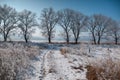 Snowy rural road, winter sunny day, blue clear sky. Royalty Free Stock Photo