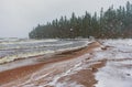 Snowy sandy shore under snowfall with the forest on the background