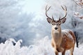 Snowy serenity a deer in a tranquil winter snowscape