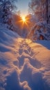 Snowy serenity Exploring natures beauty with snowshoes in a winter wonderland