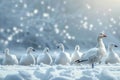 Snowy serenity Flock of snow geese against a snowy backdrop