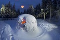 Snowy shelter in the storm