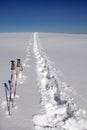 Snowy shoe tracks