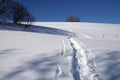 Snowy shoe tracks