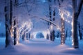 Snowy sidewalk at night decorated with Christmas lights Royalty Free Stock Photo