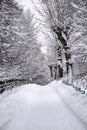 Snowy sidewalk, snow fall aftermath Royalty Free Stock Photo