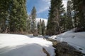 Snowy Snake Creek