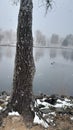 Seasonal snowy spring day at Holliday park lake