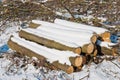 Snowy stack of timber in a forest