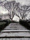 Snowy stairs in a park