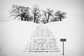 Snowy stairs