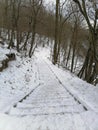 Snowy steps