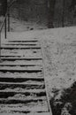 Snowy steps in the winter