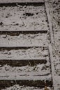 Snowy steps in the winter