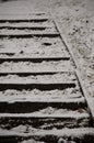 Snowy steps in the winter