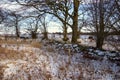 Snowy stone wall in winter forest Royalty Free Stock Photo