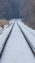 Snowy straight railroad tracks near the Minnesota River and near Black Dog coal power plant Royalty Free Stock Photo