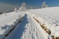 A straight road is covered with snow, Gorce, Poland