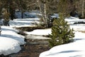 Snowy stream in Pyrenees