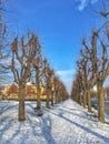 snowy street