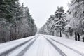 Snowy street through forest