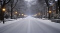 A snowy street with a street light on the left side of the road Royalty Free Stock Photo