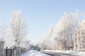 Snowy street in a small town with trees under rime in winter Royalty Free Stock Photo