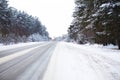 Snowy street surrounded by pine trees, winter road in the forest. Freezing day Royalty Free Stock Photo