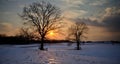 Snowy Sunset Royalty Free Stock Photo