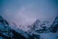 Snowy Tatry mountain range with trees in the foreground and a cloudy sky in the background