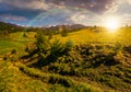 Snowy tops of carpathians in springtime at sunset Royalty Free Stock Photo