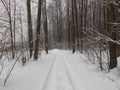 Snowy tracks. Royalty Free Stock Photo