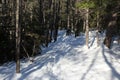 A snowy trail in the forest after a record-breaking snowfall in Nova Scotia Canada, deep snow in the woods. Royalty Free Stock Photo