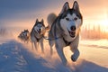 Snowy trailblazer Sled dog Siberian husky drives through winter landscape