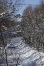 Snowy traintracks with snow covered trees NEW ENGLAND winter