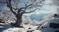 Snowy Tree In The Mountains: A Fairytale-inspired Atmospheric Portrait