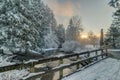 Snowy Trees and Creek and Fence Royalty Free Stock Photo