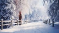 Snowy trees and fence along winter road covered in thick snow