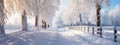 Snowy trees and fence along winter road covered in thick snow