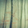 Snowy trees in forest. Beautiful concept for winter, nature and forest Royalty Free Stock Photo