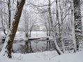 Snowy trees near river in winter, Lithuania Royalty Free Stock Photo