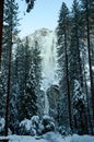 Snowy Trees Upper Lower Yosemite Falls